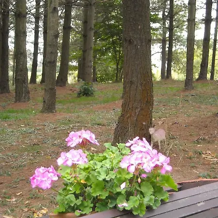 Bed and breakfast La Diridina