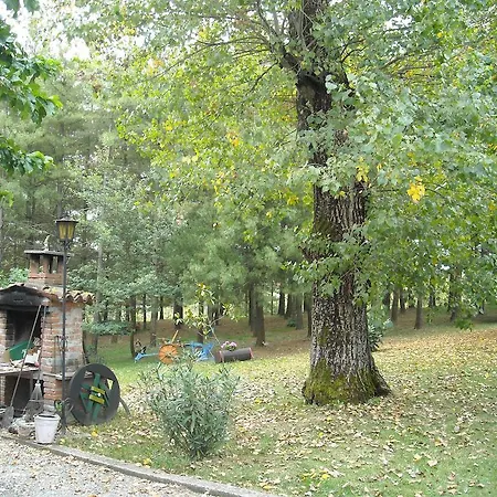 La Diridina