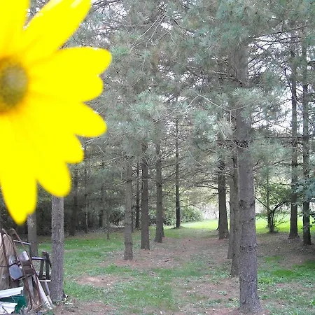 Bed and breakfast La Diridina Masio